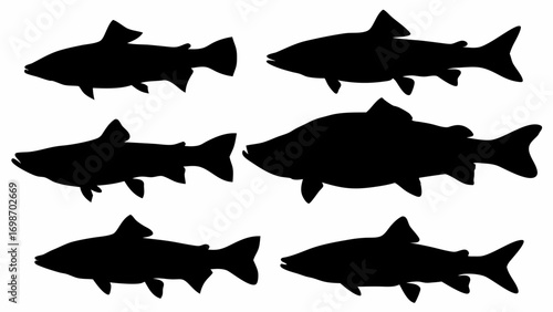 Six distinct fish silhouettes showcase aquatic life diversity and natural forms in clear black outlines.