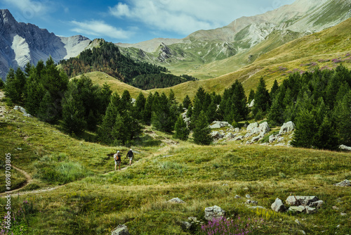Wandern in den Alpen