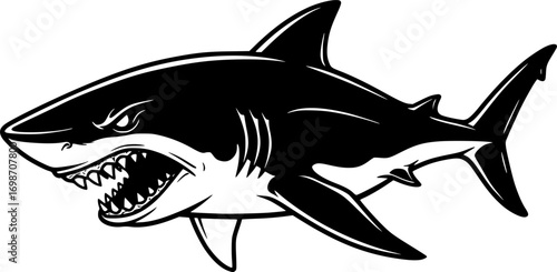 vector cartoon of aggressive shark in sea
