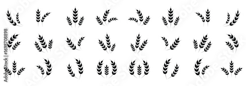 Wheat ear icons set vector silhouettes. Black wheat spikelet vector collection. Set of wheat stalk. Cereal plant silhouettes.  Agriculture symbol. Grain icon vector. eps 10