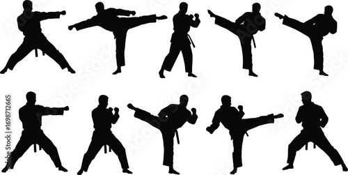 Martial arts silhouettes performing karate moves, high kicks, punches, fighting poses, karate training, martial artist, combat sport, self-defense, discipline, strength, agility, fitness