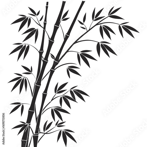 bamboo vector illustration