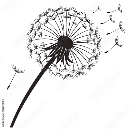 vector dandelion flower
