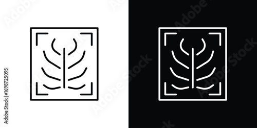 X ray icons. Stroke line art icons