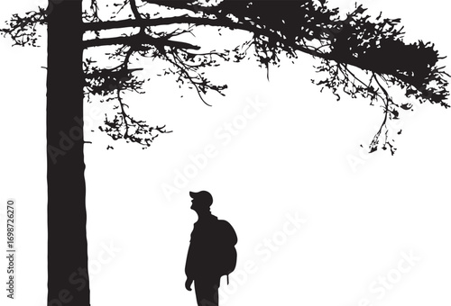 Silhouette of a hiker with a backpack standing beneath a large tree with spreading branches person woman