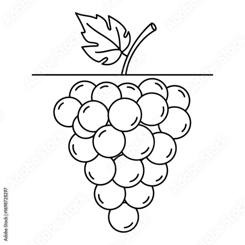 Simple line drawing of a bunch of grapes with a leaf and stem vector