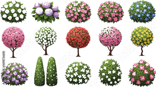 Flowering plant and tree vector set with colorful blooms and foliage for botanical, garden, landscape design, nature, and illustration themes
