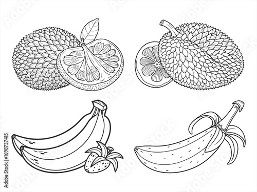 coloring page line art the fruit black vector bundle