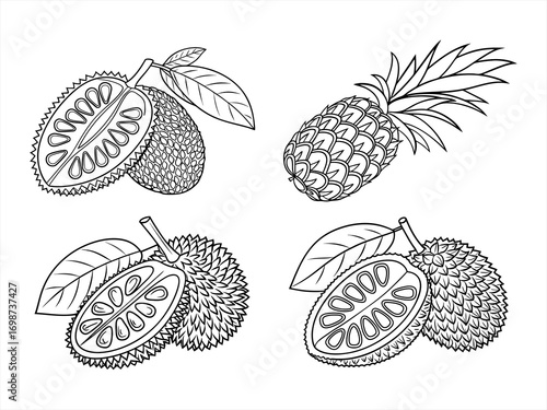 coloring page line art the fruit black vector bundle