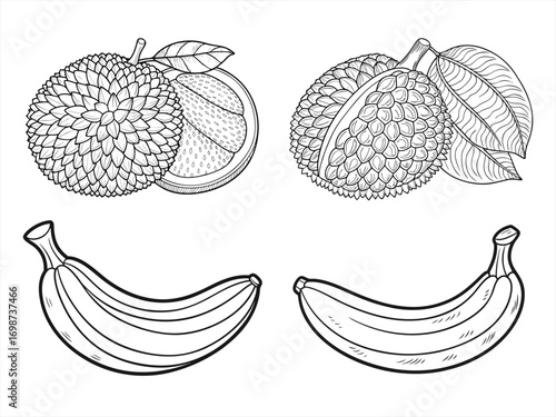 coloring page line art the fruit black vector bundle