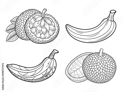 coloring page line art the fruit black vector bundle
