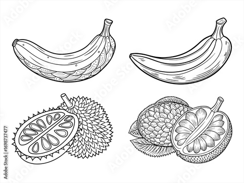 coloring page line art the fruit black vector bundle