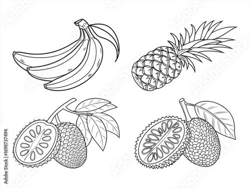 coloring page line art the fruit black vector bundle