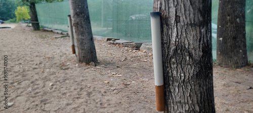 Konstfotografi Large cigarette-shaped installation on a tree beside a park trash bin