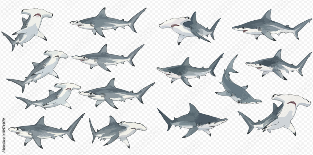 Fototapeta premium Collection of hammerhead and regular shark illustrations in various poses on a transparent background.