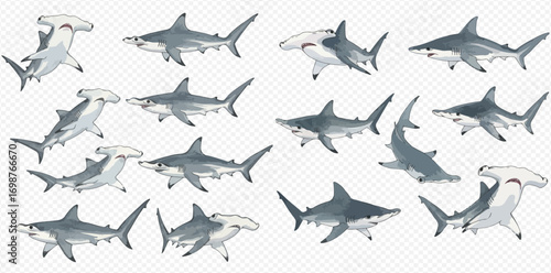 Collection of hammerhead and regular shark illustrations in various poses on a transparent background.