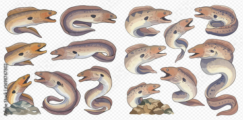 Illustration of various moray eels in different poses, showcasing their unique body shapes and open mouths.