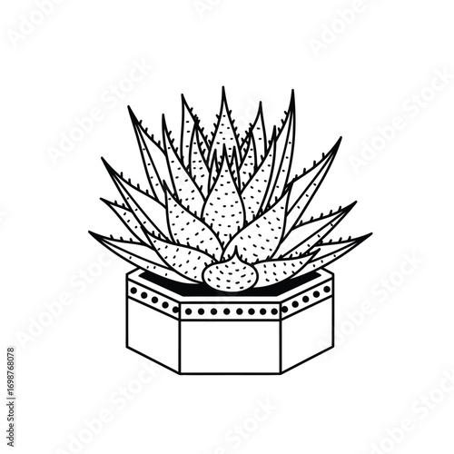 Black and white illustration of a potted succulent plant