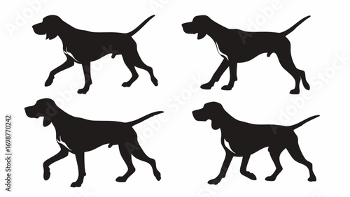 Graceful dog silhouettes in motion capture elegant canine strides and athletic form