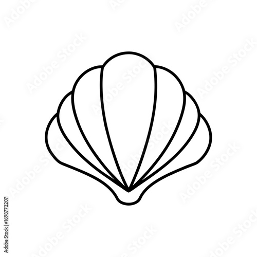 Outline drawing of a seashell on transparent background