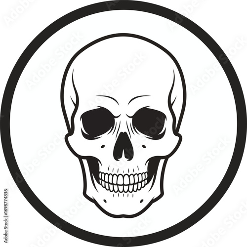Vector skull illustration