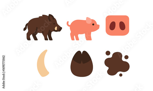 Wild boar and pig elements in flat style with hoof and snout details