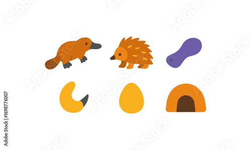 Playful flat animals and elements collection featuring platypus and echidna