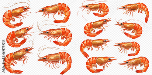A collection of fifteen cooked shrimp, arranged on a transparent background, showcasing their orange color and curled shape.
