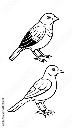 Wallpaper Mural A small brown finch sits on a tree branch, a hand-drawn vector illustration of a wild bird in nature Torontodigital.ca