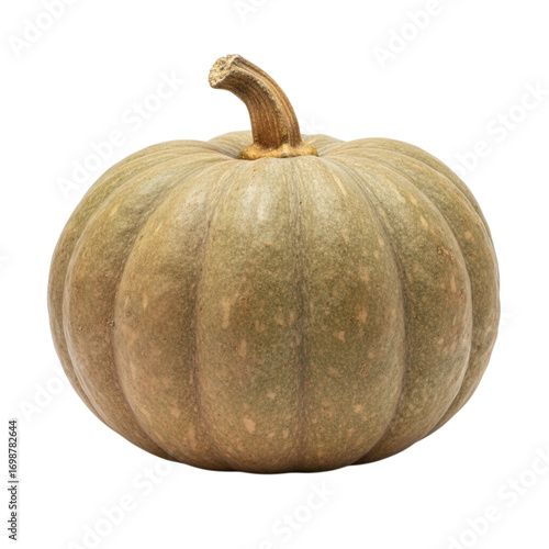 A single light brown pumpkin isolated on transparent background