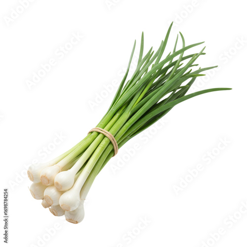 Bunch of fresh green onions isolated on transparent background
