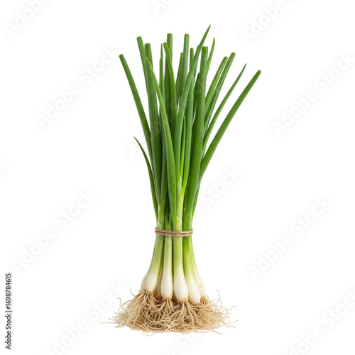 Bunch of fresh green onions isolated on transparent background