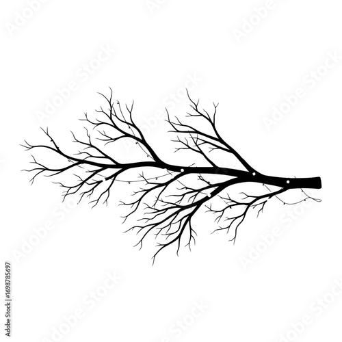 branch with leaves lighting