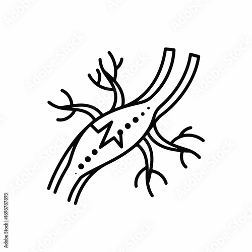 Nerve cell structure represented in simple, clean lines for anatomical accuracy. Nerve cell illustration showcases its complex branching structure.