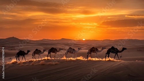Caravan of camels walking through the desert at sunset in dubai, uae