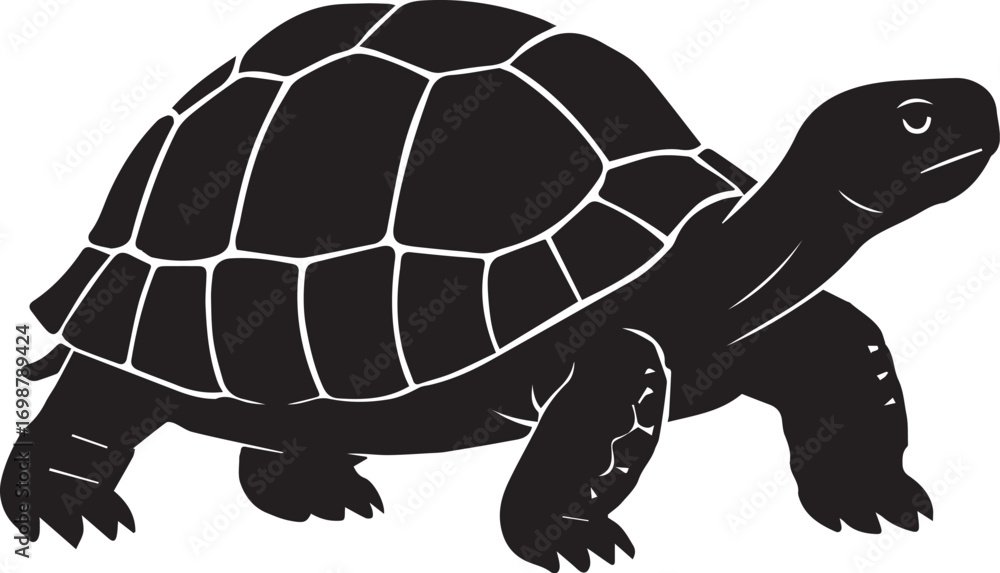 Fototapeta premium Tortoise Side View – Stylized Black and White Vector Illustration