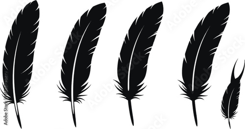 Vector art of set of black feather silhouettes for design elements and decorations in tribal ethnic native american style