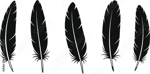 Vector art of collection of black feather silhouettes for design elements and decorative purposes, vector illustration