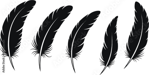 Vector art of set of black feather collection of different feather shape for decoration and design vector illustration
