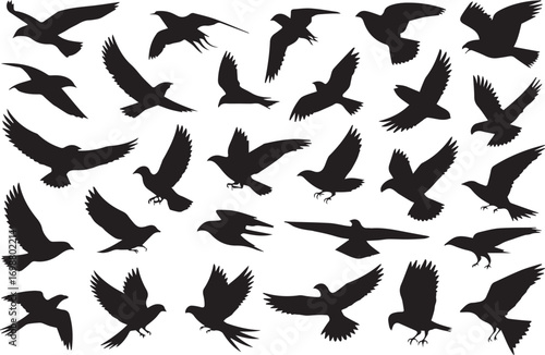 black bird silhouette collection poses wildlife vector ai eps jpeg png for logo icons backgrounds and nature design