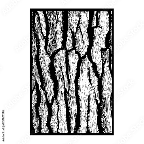Illustration of a black and white tree bark texture with deep crevices and rough surface appearance design