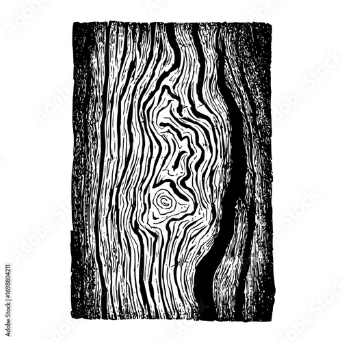 Monochrome illustration of a rectangular section of tree trunk with a prominent knot pattern and wood grain