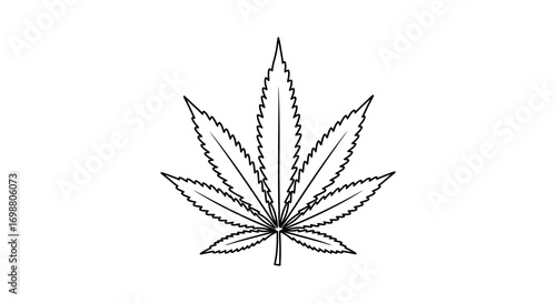 a detailed outline of a cannabis leaf in black and white