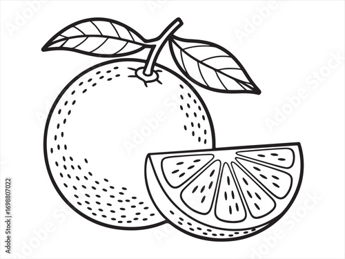 Citrus orange line art drawing with wedge for coloring page