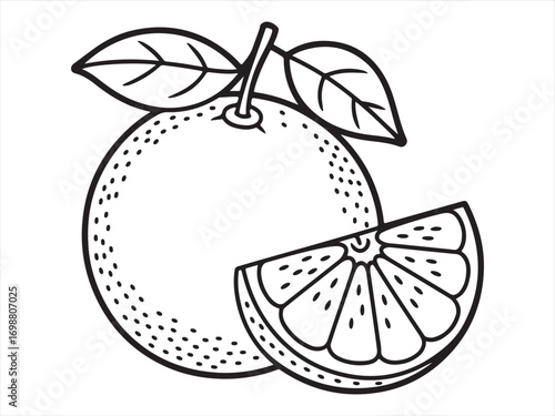Healthy fruit sketch of whole orange with cut slice and leaf