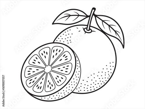 Orange fruit with slice and leaves black and white outline illustration