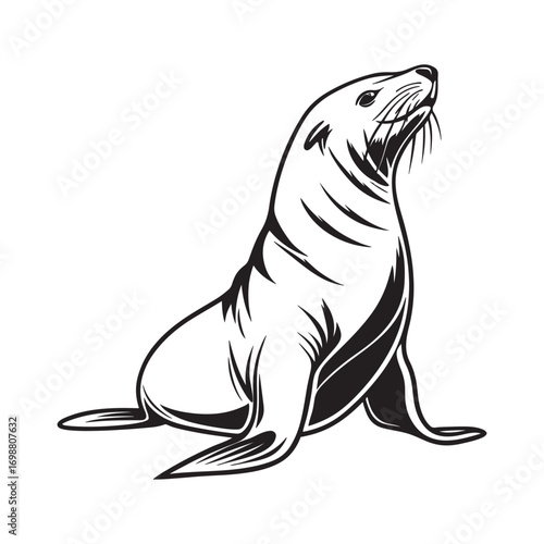 A sea lion sitting upright with a curved body silhouette