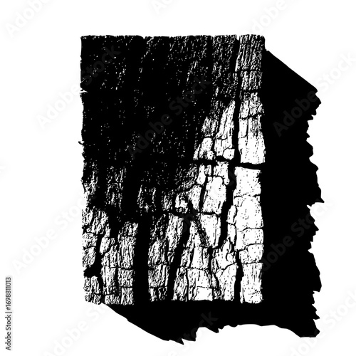 Abstract black and white image of tree bark texture with shadow casting on a solid white background