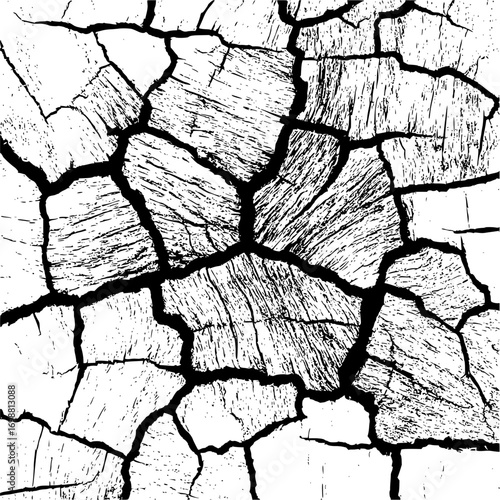 Close up of cracked white surface with black lines creating abstract pattern and rough texture look
