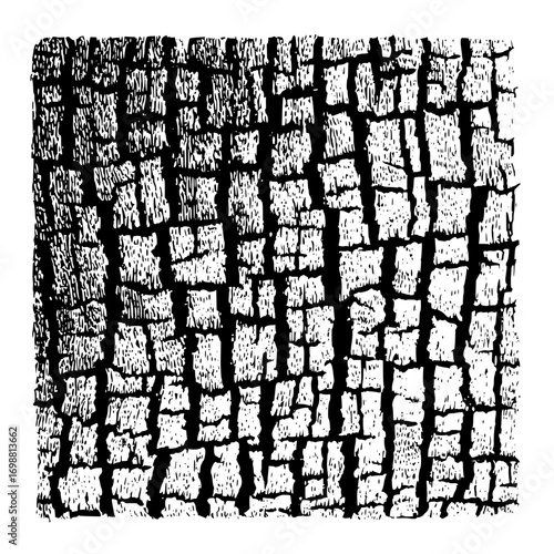 Detailed black and white illustration of cracked bark texture with vertical and horizontal lines forming blocks